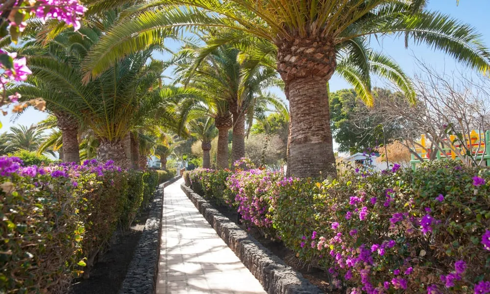 jardines RElaxia Olivina