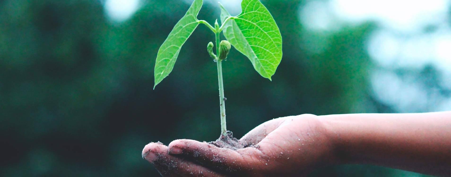 Sustainability Relaxia Hotels & Resorts